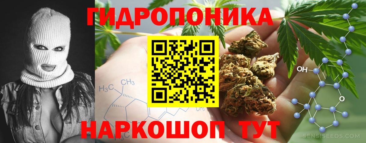 Шишки марихуана план  Вход с VPN  Бошки марихуана THC 21%  Набережные Челны  Шишки марихуана White Widow 